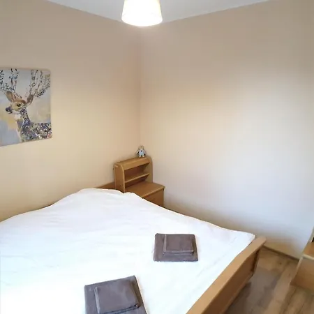 Brand New W/ King Bed - Next To Parks And Center! * ريغا