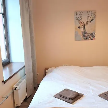 Apartamento Brand New W/ King Bed - Next To Parks And Center! *